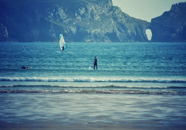 france_variety_of_surfing_980px.jpg